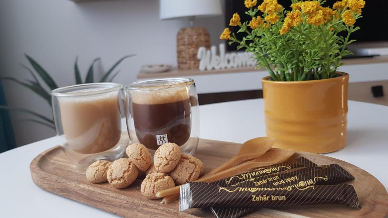 Tusmorez Central Apartment Târgu-Mureş 외부 사진