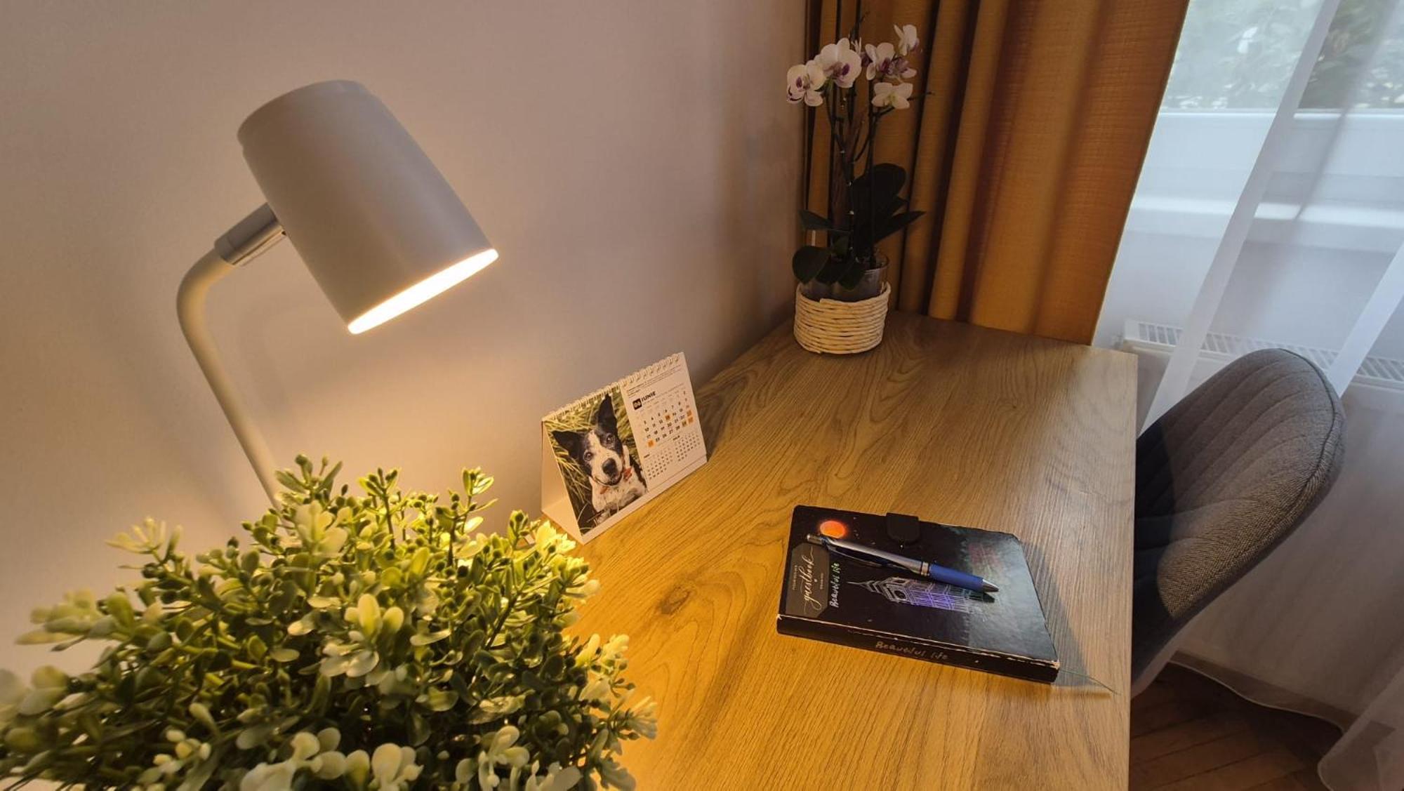 Tusmorez Central Apartment Târgu-Mureş 외부 사진